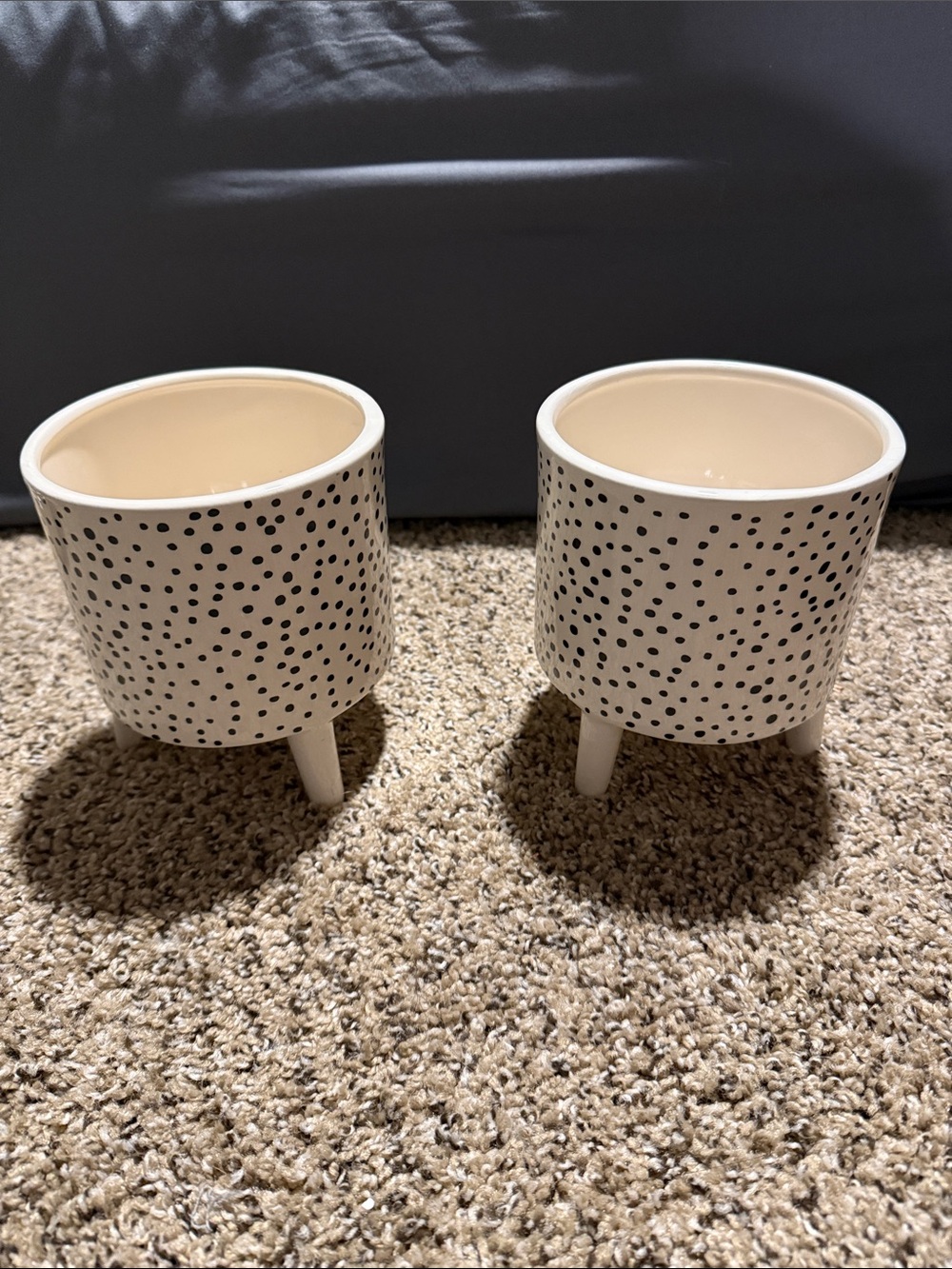 Set of 2 Ceramic Spot Print Planters - White with Black Dots